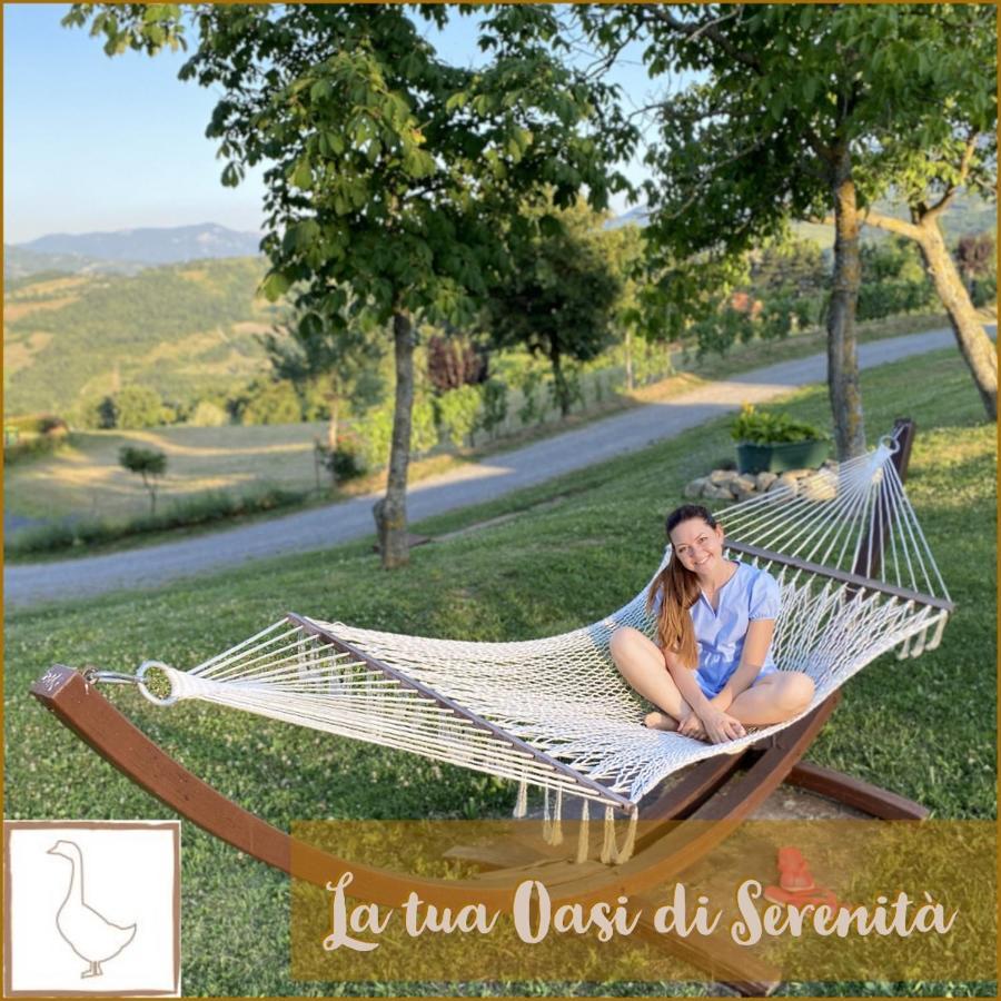 Gaggio MontanoL'Oca Giuliva Relais住宿加早餐旅馆 外观 照片